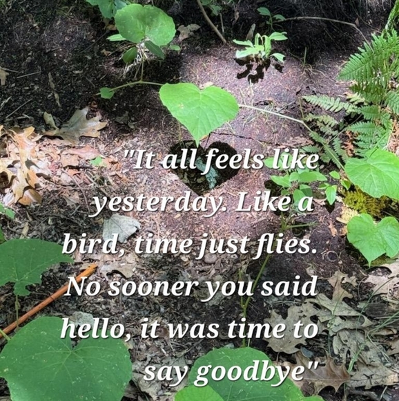 SLAYERRR IS LIVE 🩷💚 SHOW FLYER - Picture 7 of 7